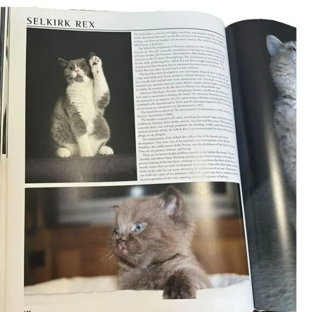 N/A interior book